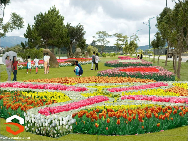 200,000 tulip baskets to be displayed at Da Lat Flower Festival 2012